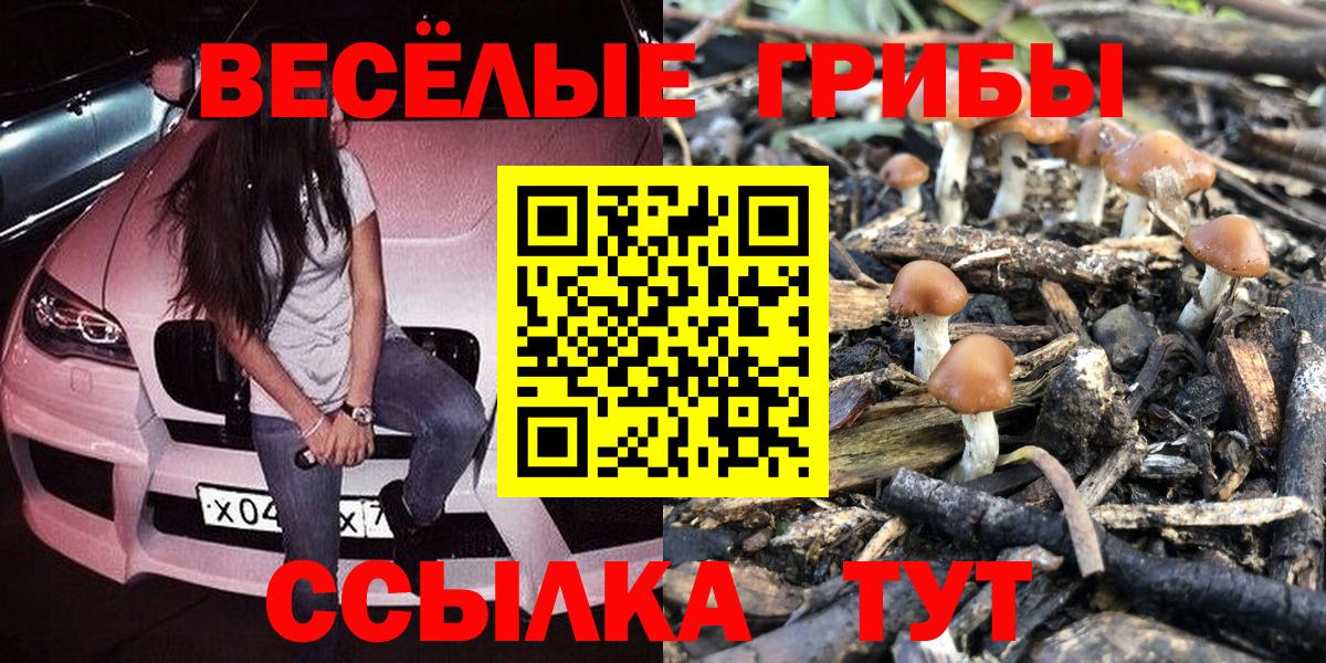 Псилоцибиновые грибы Magic Shrooms Краснодар