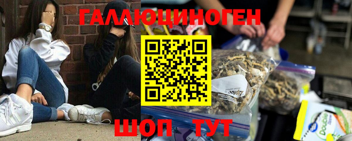 Краснодар  Псилоцибиновые грибы Cubensis  Галлюциногенные грибы Psilocybine cubensis  Вход с VPN 